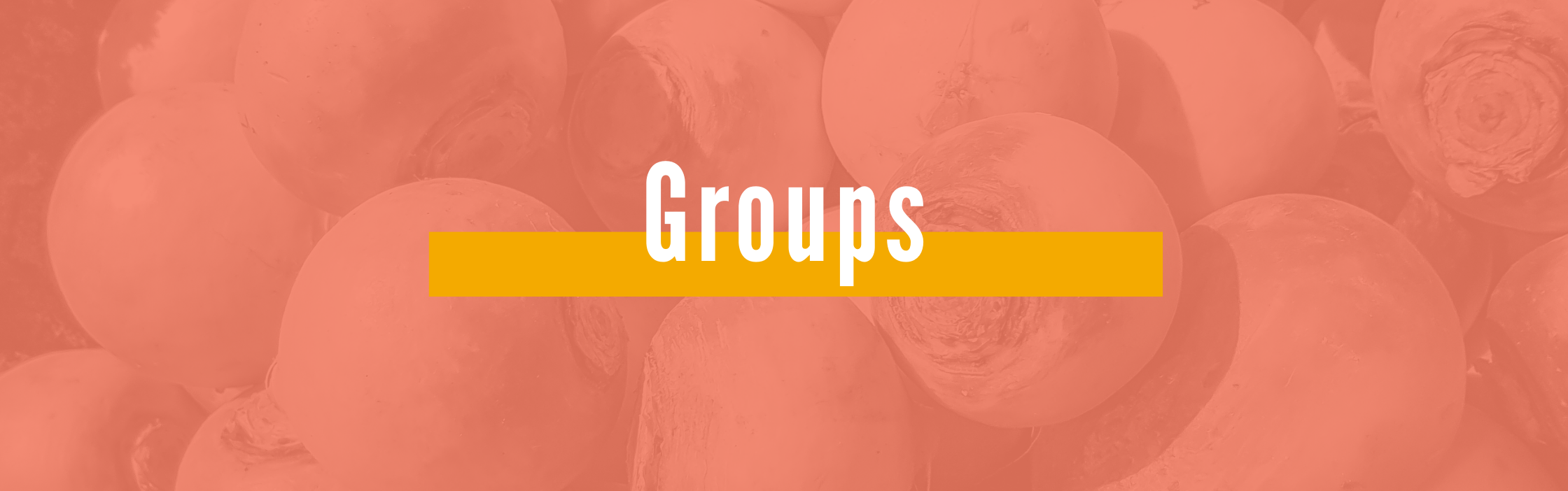 Metrowest Nutrition and Therapy Groups